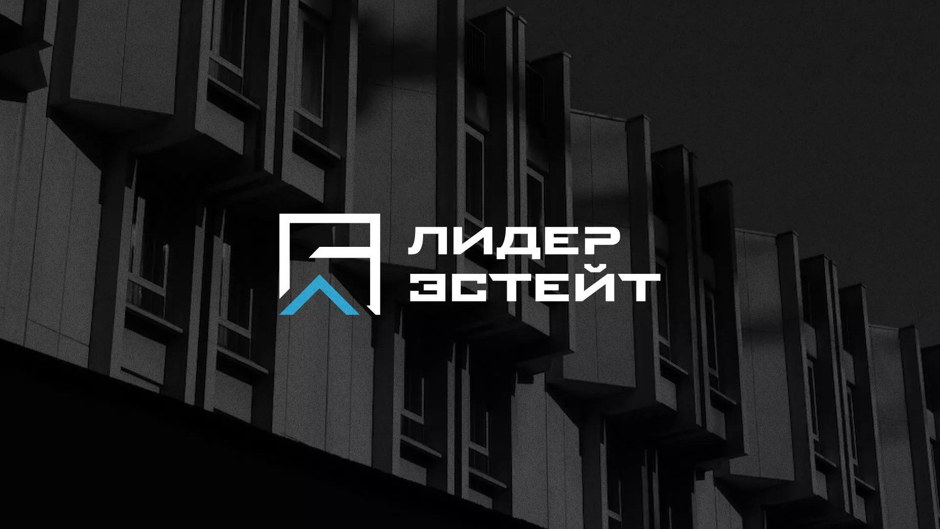Разработка логотипа агентства недвижимости «Лидер Эстейт» в Яровом